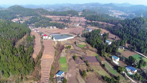 四川省南部縣坡改梯建設后面貌。農業農村部/供圖