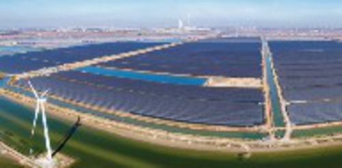 壽光興鴻新能源有限公司200MW光伏發電項目。劉盼/供圖