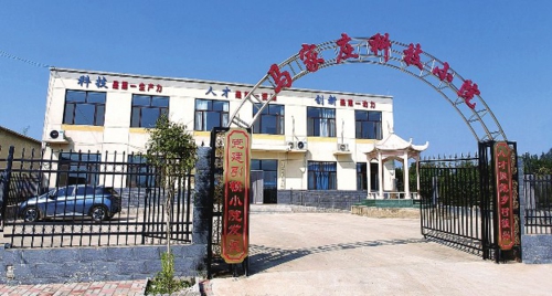 馬家莊科技小院成立以來,已展現(xiàn)其推動鄉(xiāng)村振興的成效。周慶偉/攝